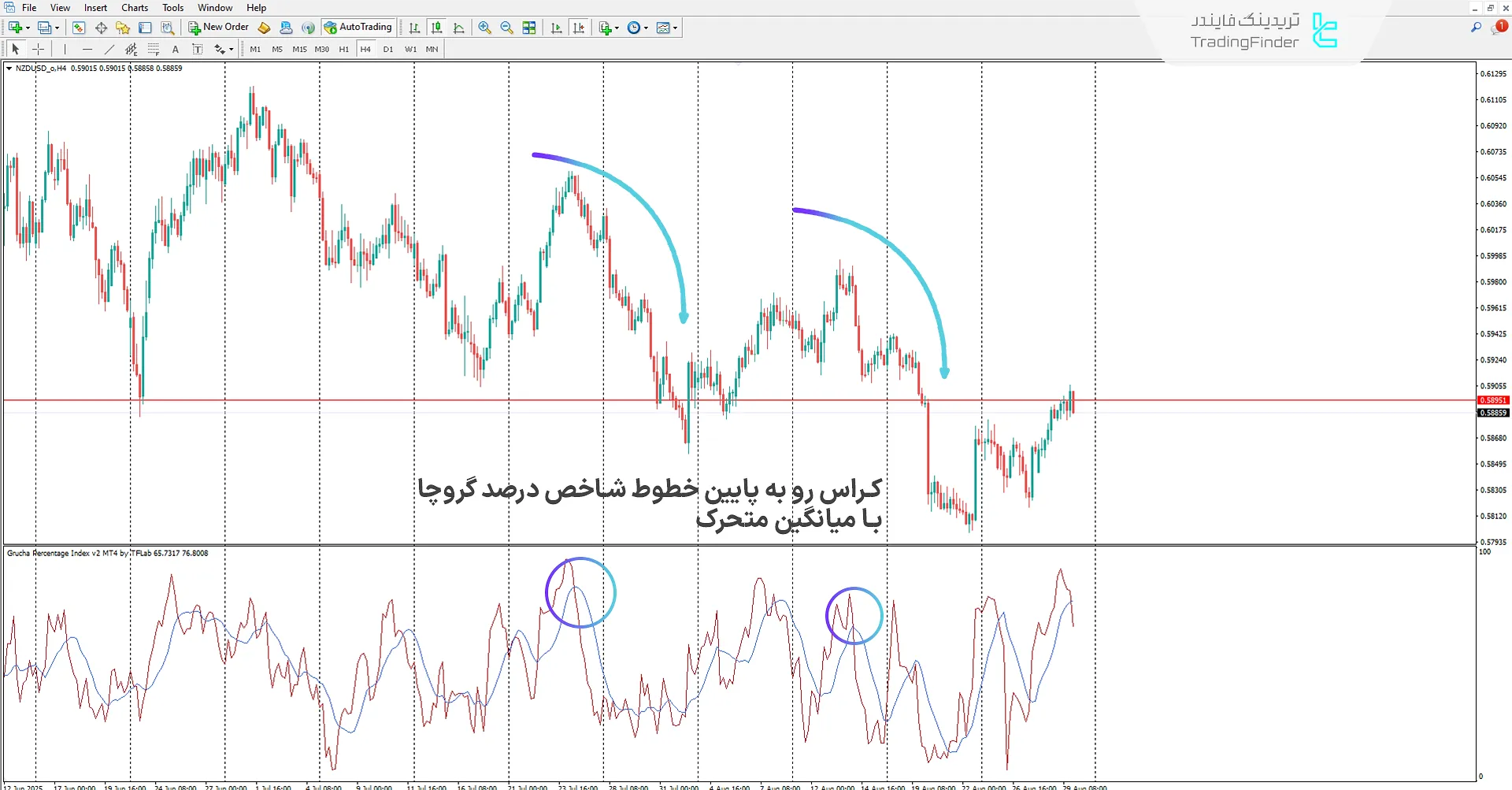 دانلود اندیکاتور شاخص درصد گروچا (Grucha Percentage Index) در متاتریدر 4 2