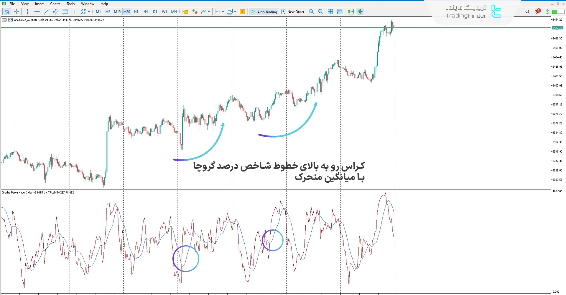 دانلود اندیکاتور شاخص درصد گروچا (Grucha Percentage Index) در متاتریدر 5 1