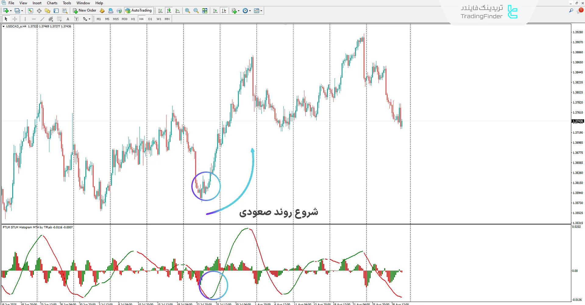 دانلود اندیکاتور FTLM STLM هیستوگرام (FTLM STLM Histogram) در متاتریدر 4 1