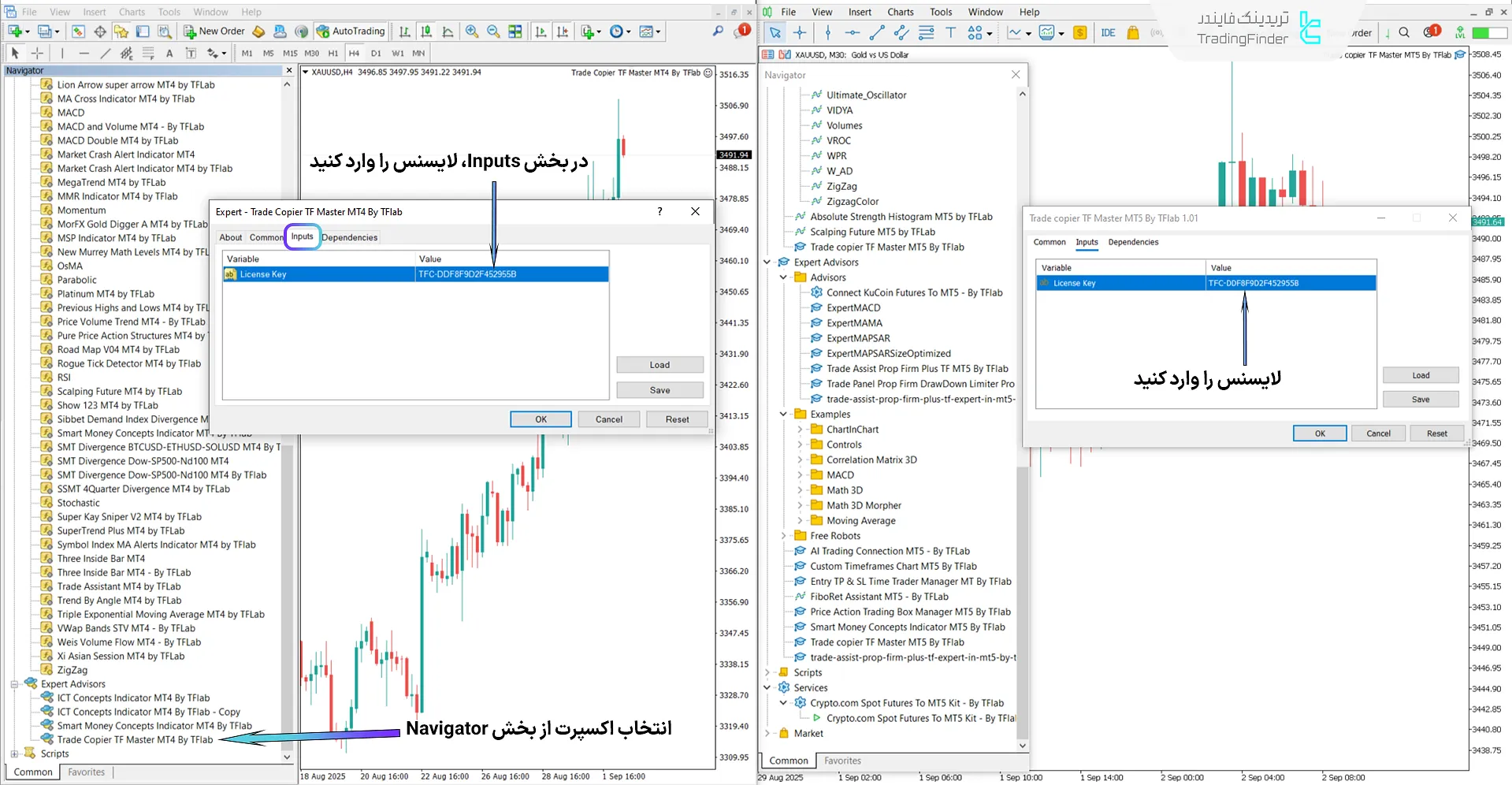 دانلود اکسپرت کپیکننده معاملات مستر TF (Trade Copier TF Master) متاتریدر 4 2