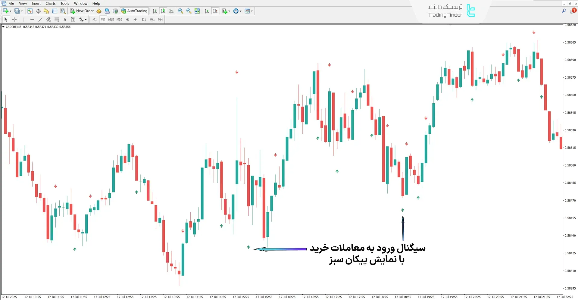 اندیکاتور برنده باینری (Binary Winner)