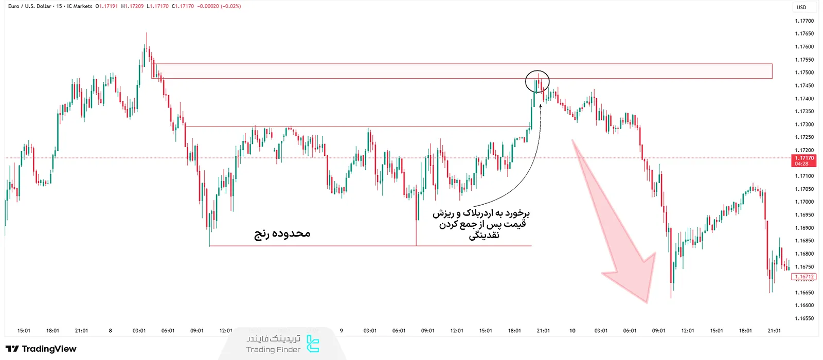 ستاپ سوپ لاکپشت