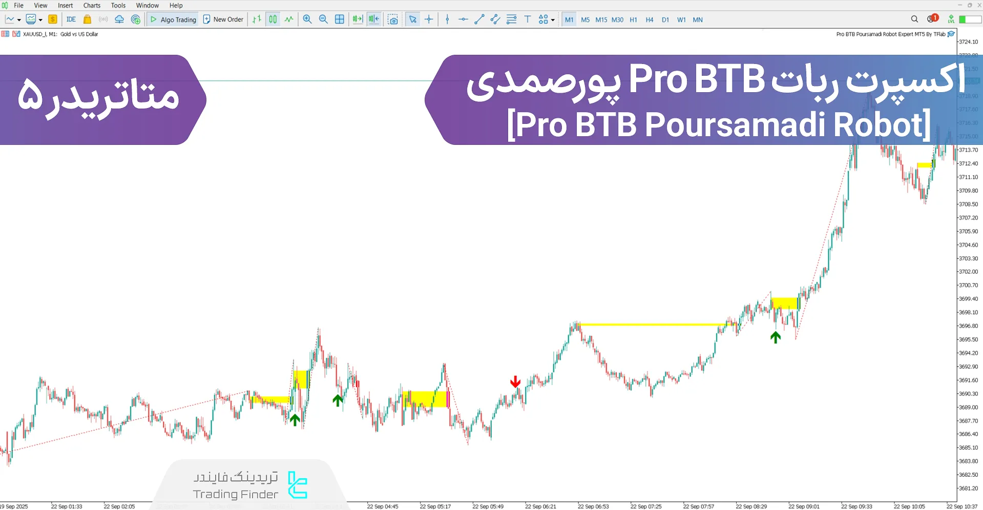 دانلود اکسپرت ربات Pro BTB پورصمدی در متاتریدر 5 - [تریدینگ فایندر]