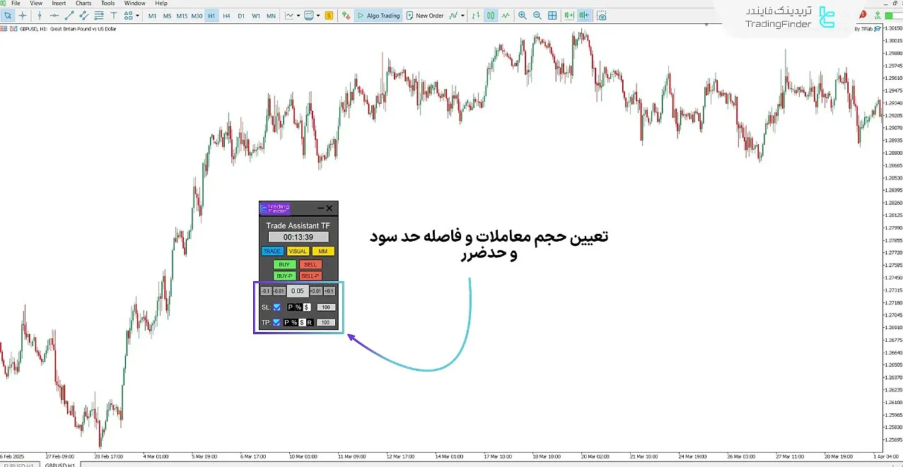 اکسپرت محافظ دراودان در تامین سرمایه