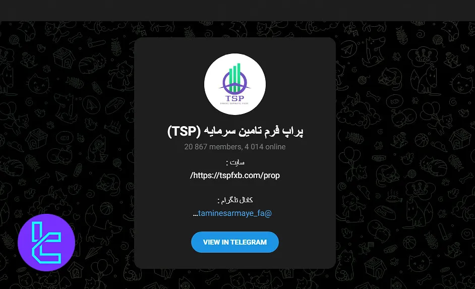 تامین سرمایه در تلگرام