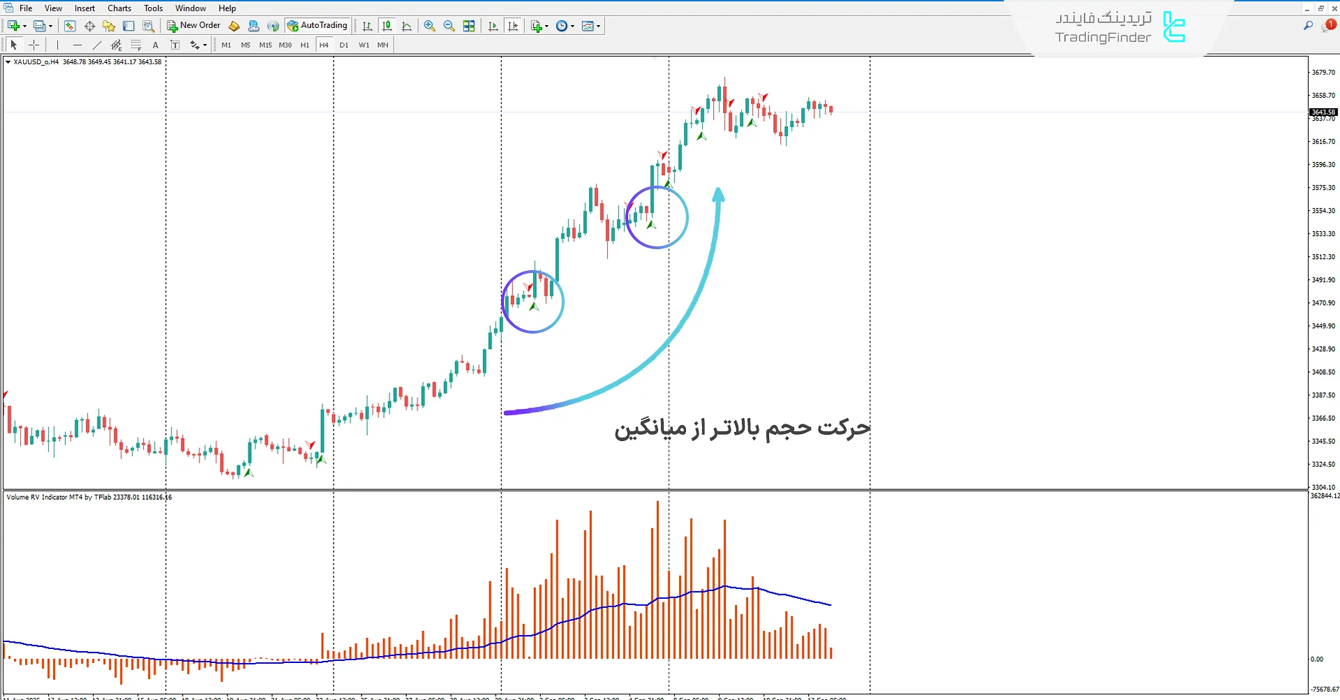 دانلود اندیکاتور حجم RV (Volume RV) برای متاتریدر 4 – تریدینگ فایندر 1