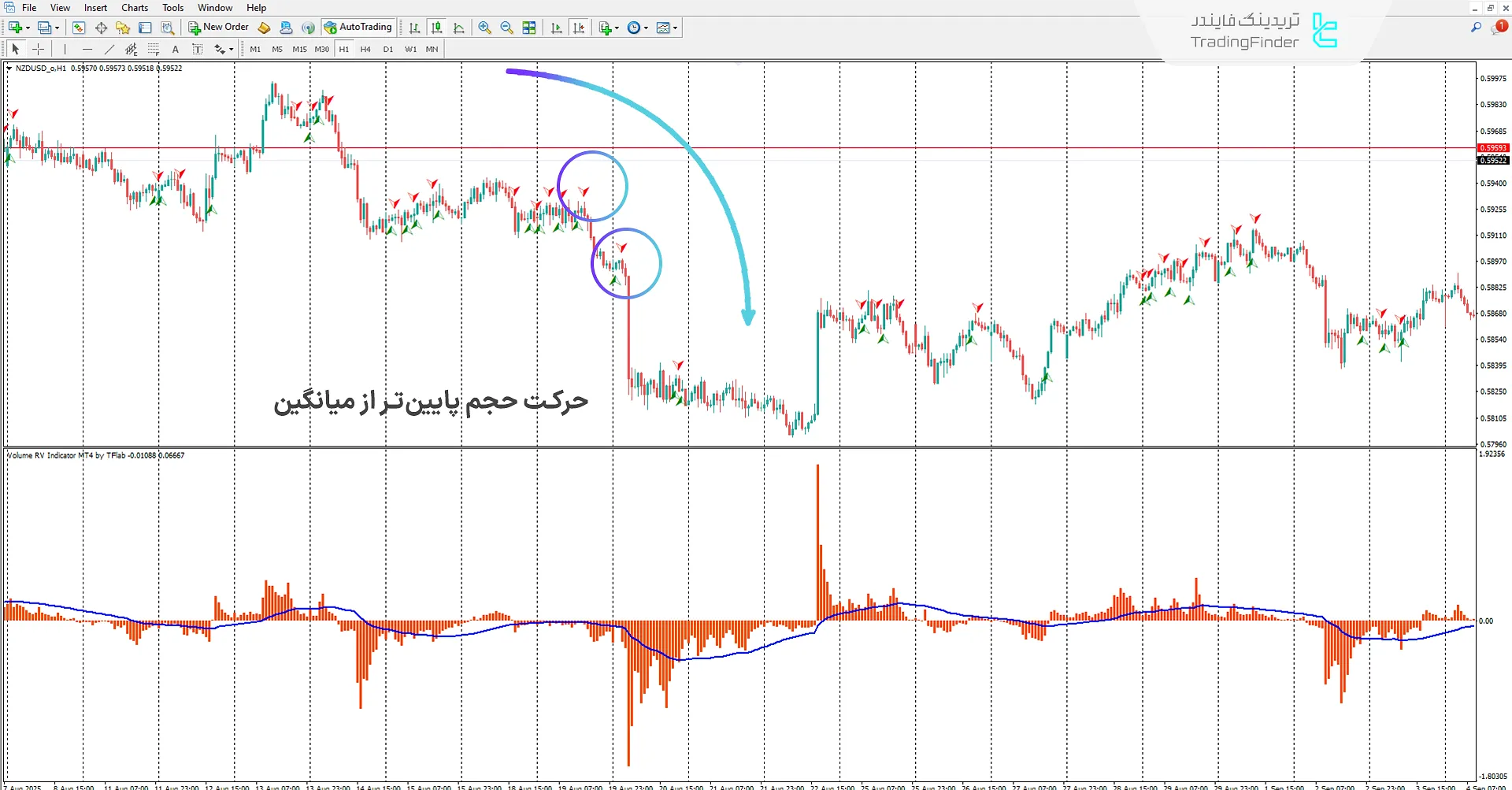 دانلود اندیکاتور حجم RV (Volume RV) برای متاتریدر 4 – تریدینگ فایندر 2