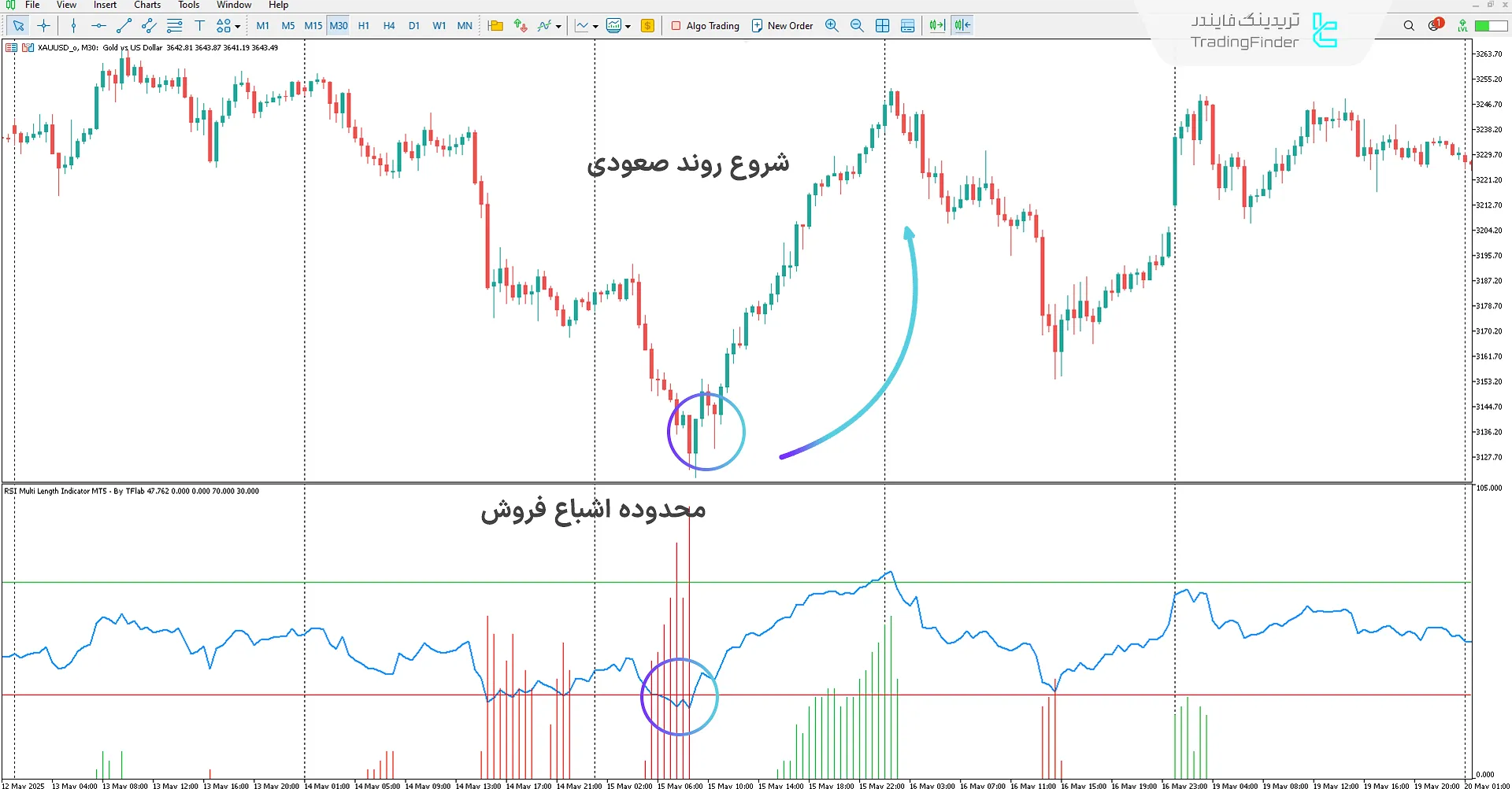 دانلود اندیکاتور RSI چند بازه (RSI Multi Length) در متاتریدر 5 – [تریدینگ فایندر] 1