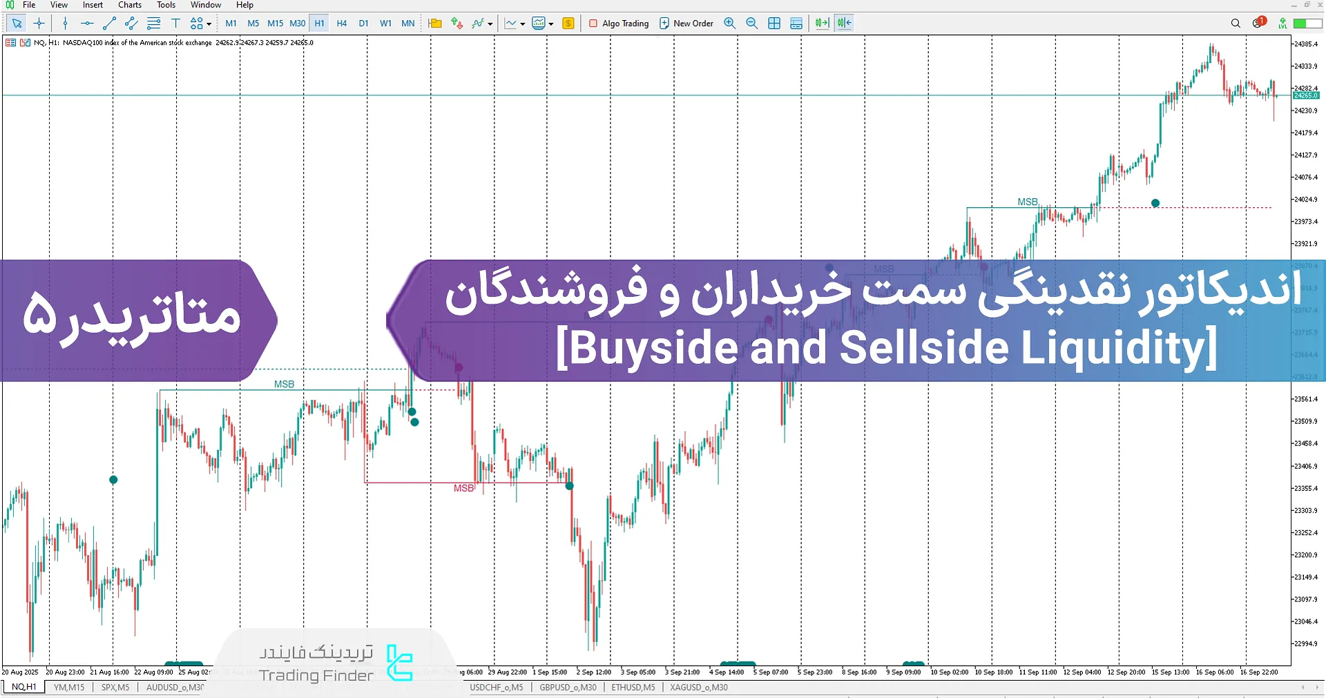 دانلود اندیکاتور نقدینگی سمت خریداران و فروشندگان (Buyside & Sellside) در متاتریدر 5 - [تریدینگ فایندر]