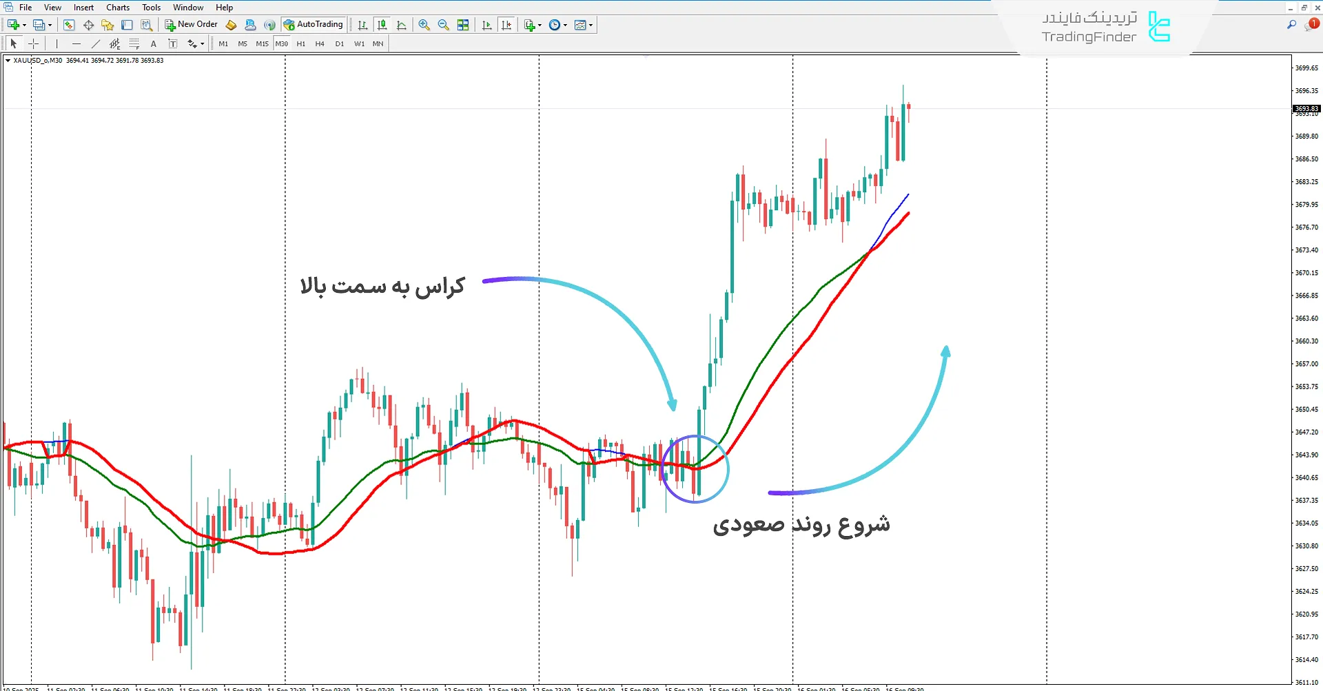 دانلود اندیکاتور فیلتر خوشه‌ای (Cluster Filter) در متاتریدر 4 – تریدینگ فایندر 1