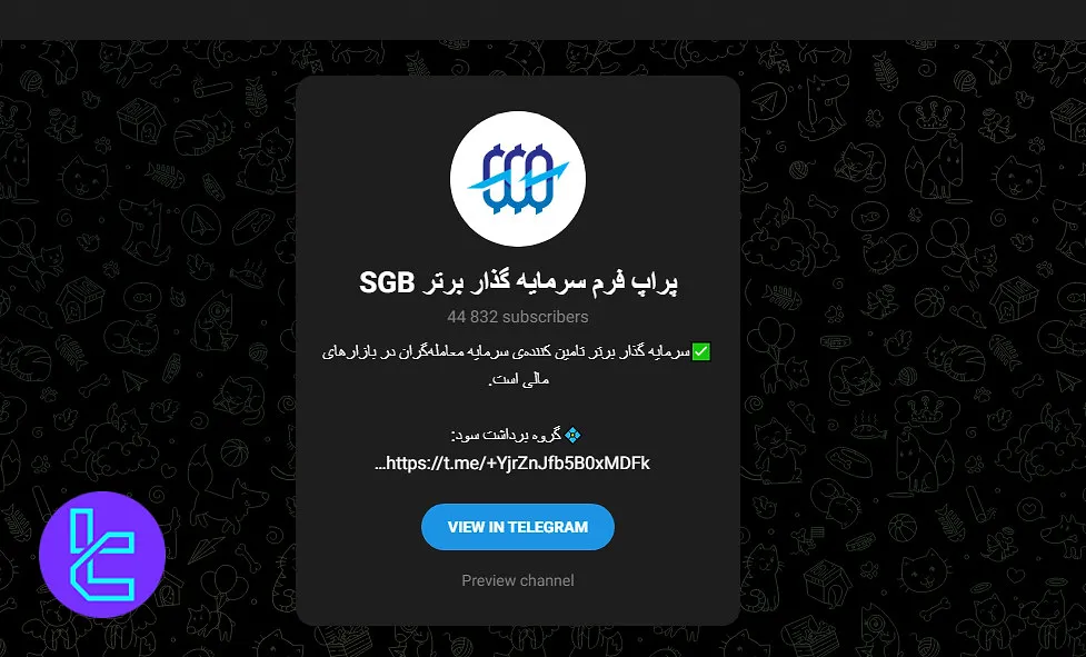 تلگرام سرمایه گذار برتر