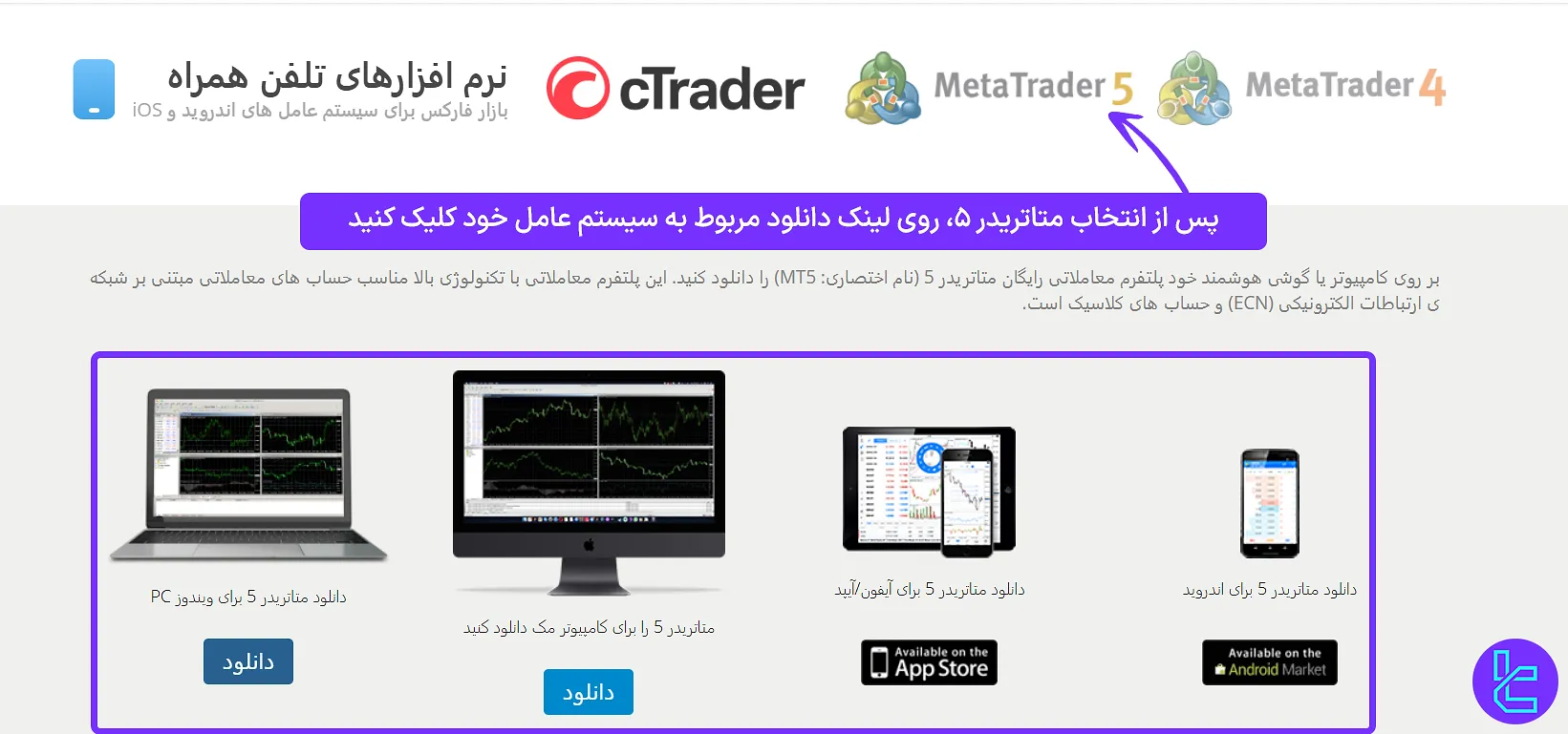 انتخاب و دانلود متاتریدر 5 از لایت فارکس