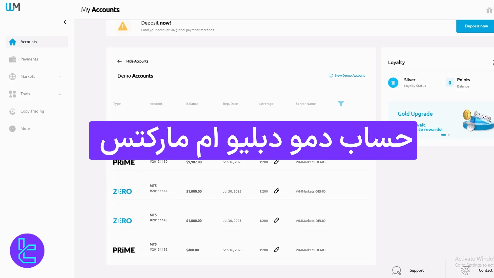 حساب دمو بروکر ویندزور