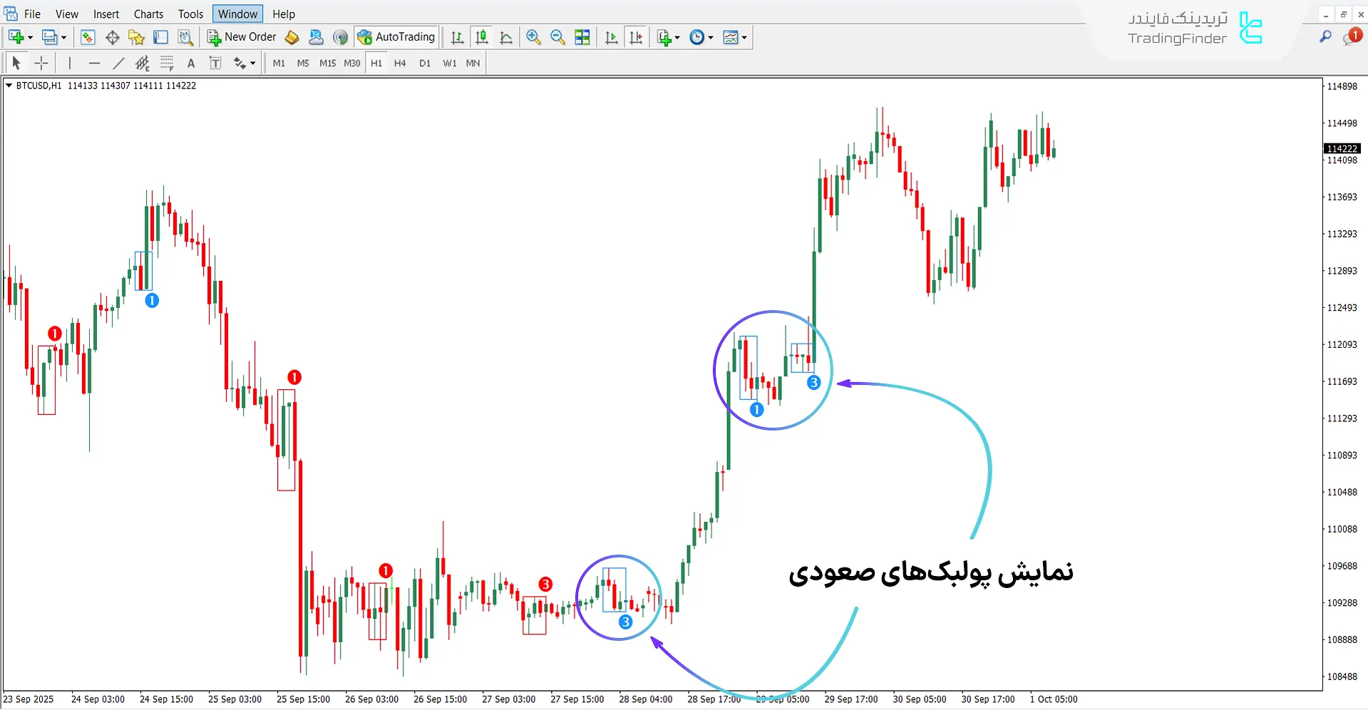اندیکاتور پولبک Valid در روند صعودی