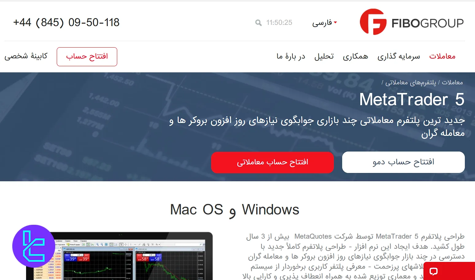 بررسی متاتریدر 5 فیبوگروپ