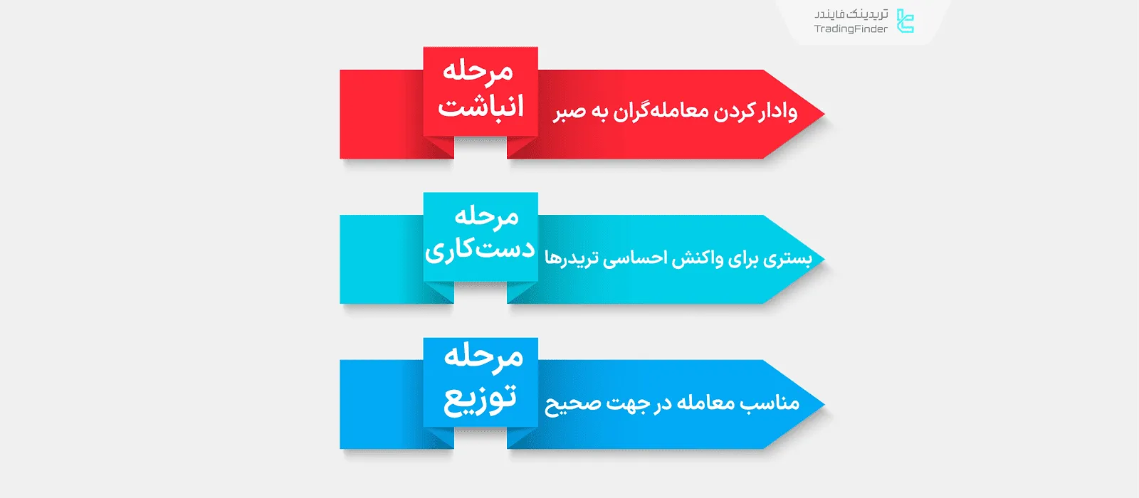 استراتژی AMD