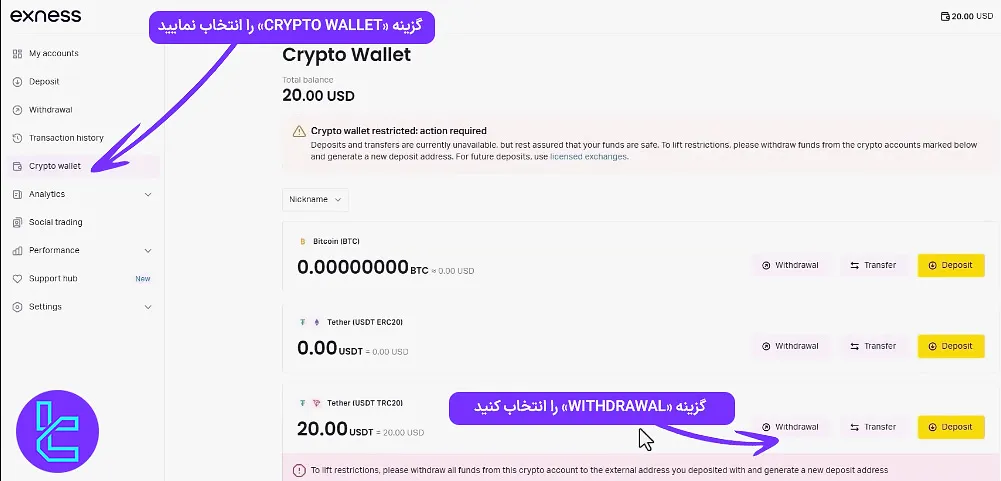 پنل کاربری اکسنس