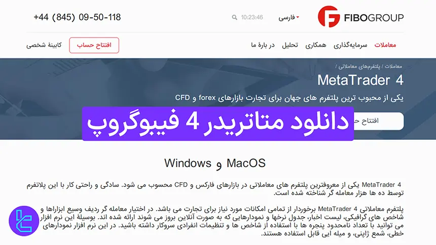 دانلود متاتریدر 4 فیبوگروپ