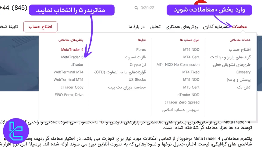 دسترسی به بخش متاتریدر 5 فیبوگروپ
