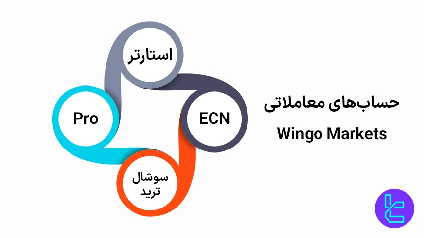 انواع حسابهای معاملاتی بروکر وینگو مارکتس