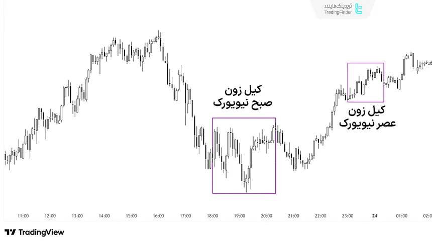 مثال کیل زون نیویورک