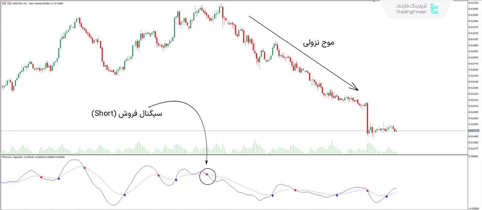 سیگنال فروش